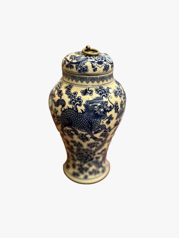 Porcelain Wealth Pot